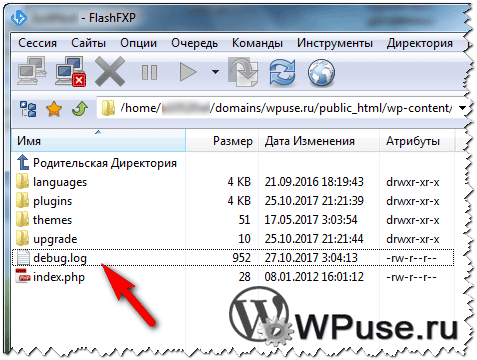 Что такое debug log